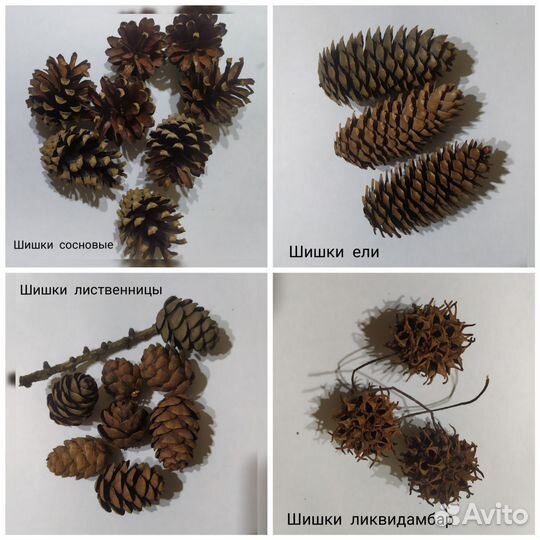 Набор природных материалов