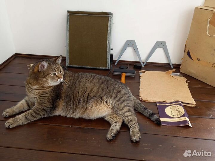 Электрофотоглянцеватель эфг-2