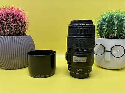 Canon EF 75-300 mm f/ 4-5.6 IS USM