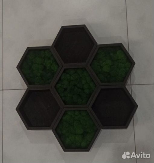 Панно из стабилизированного мха