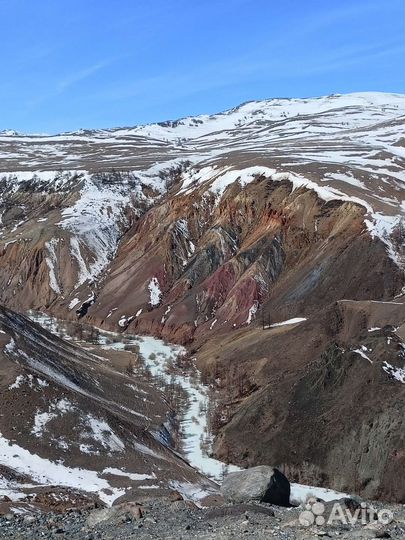 Аренда минивэна с водителем, автомобиль на свадьбу