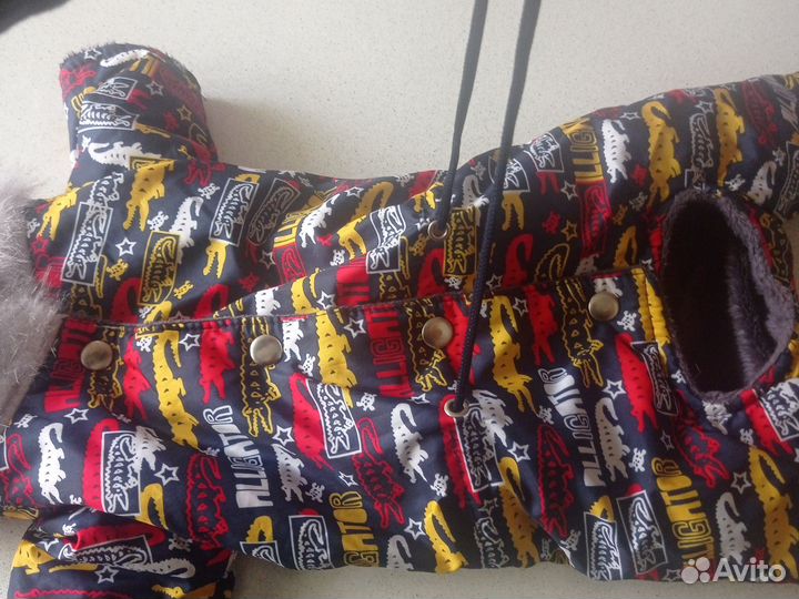 Костюм для собаки зимний на чихуахуа