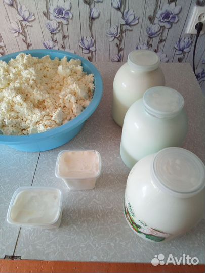 Молоко коровье домашнее и молочные продукты