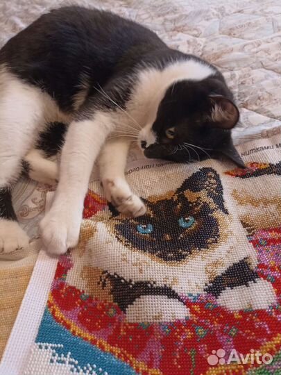 Картина бисер