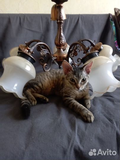 Люстра потолочная винтаж