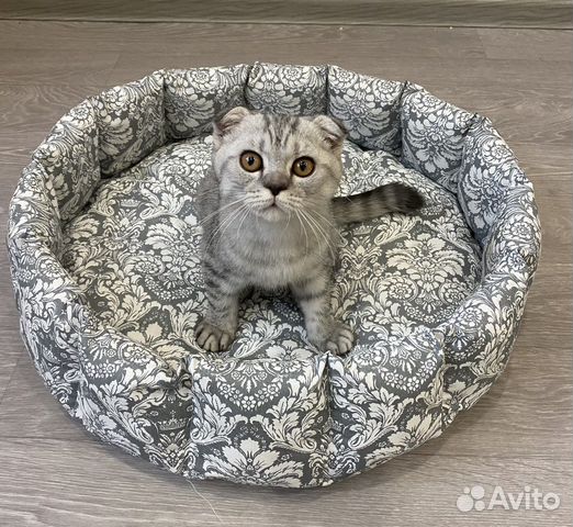 Лежанка для кошки/собаки