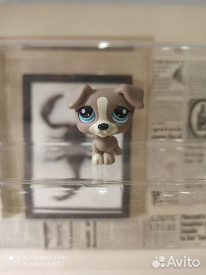 Littlest Pet Shop