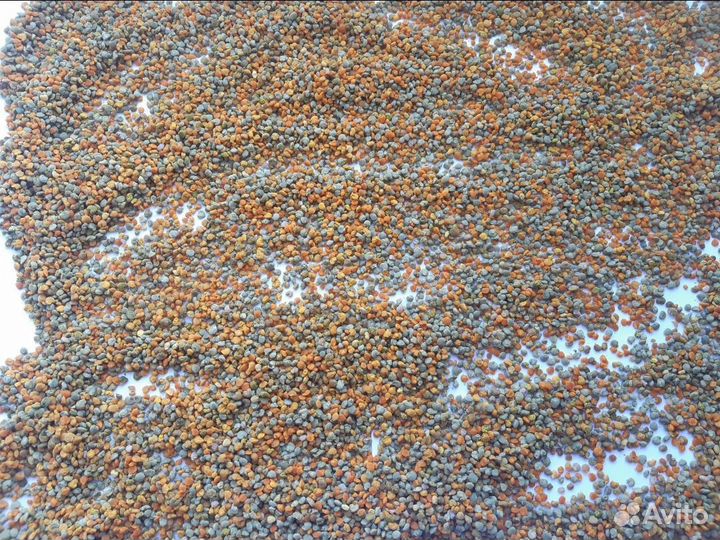 Пыльца пчелиная