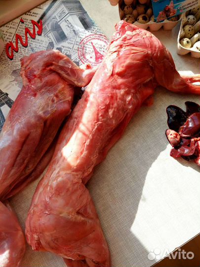 Кролики на мясо