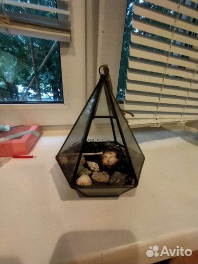 Флорариум суккуленты