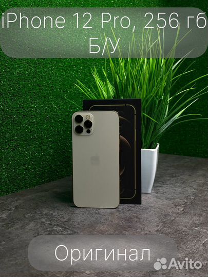 iPhone 12 Pro, 256 ГБ