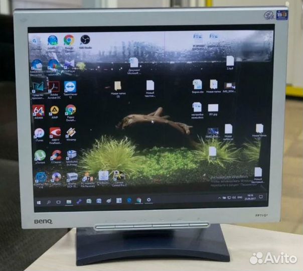 Монитор Samsung GH17LS, BenQ FP71G+