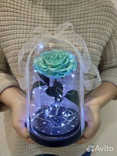 Роза в колбе