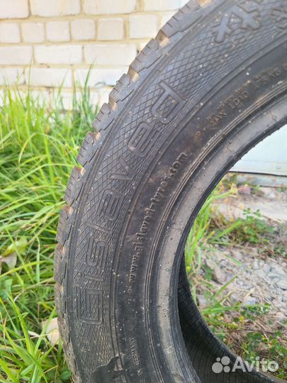 Gislaved Nord Frost 5 175/65 R14 82T