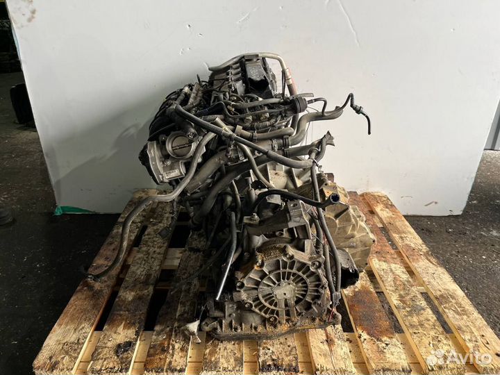 Двигатель на авто Ford Focus 2 2.0 C307/ Aoda