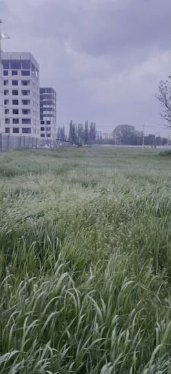 Участок 7 сот. (ИЖС)