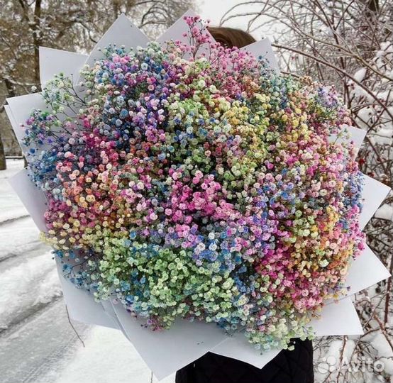 Гипсофила радужная WOW букет