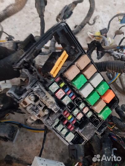 Проводка подкапотная Kia Rio 4 1.6 МКПП с дефектам