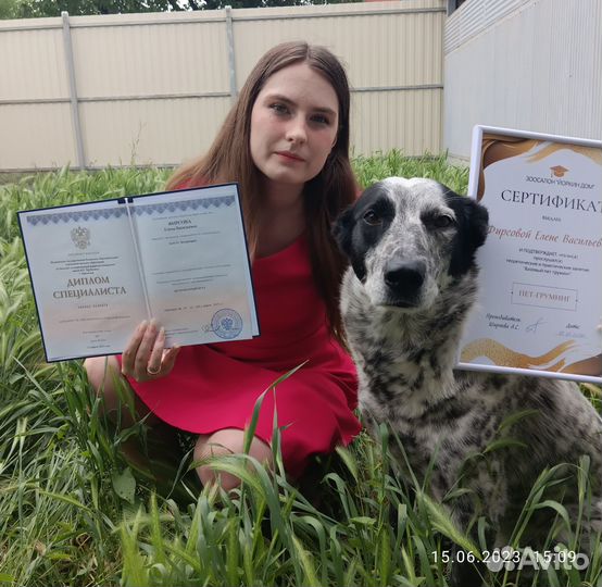 Груминг для животных