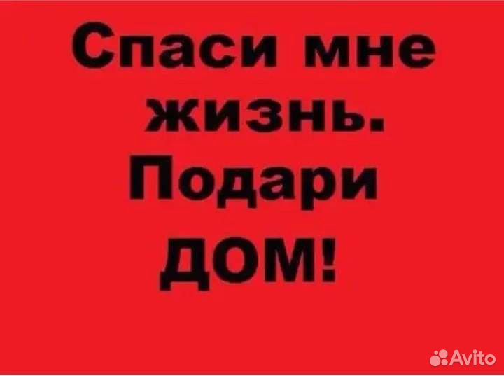 Нужно спасать