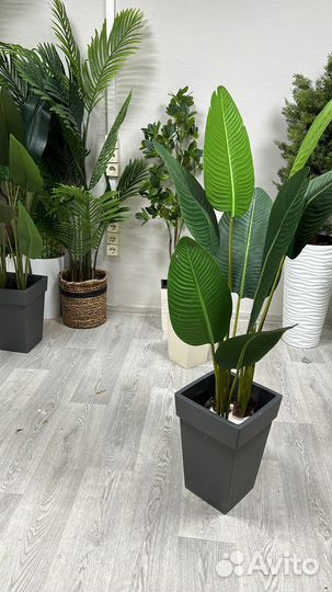 Искусственные растения. Банановая пальма/Стрелиция