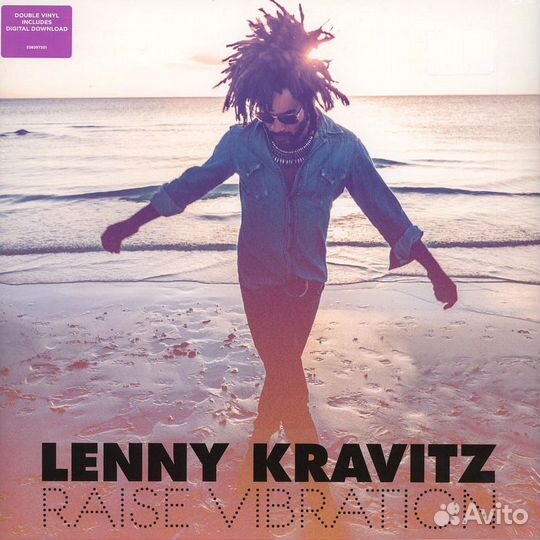 Lenny Kravitz - Raise Vibration