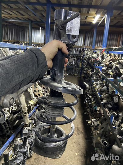 Стойка в сборе, амортизатор Рено renault