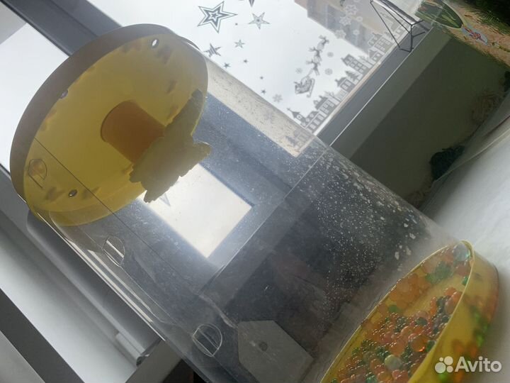 Тропикарий для бабочек