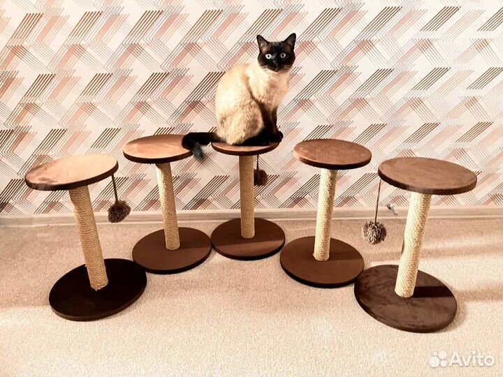 Когтеточка для кошек