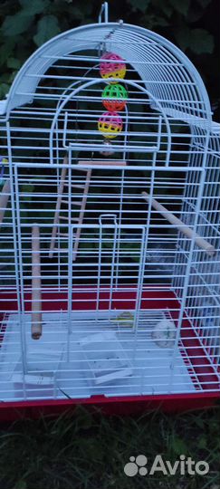 Клетка для большого попугая