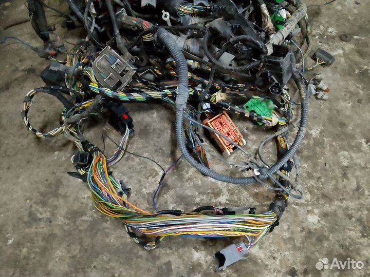 Проводка Ford Focus 2 2 поколение hxdb 1.6 2007