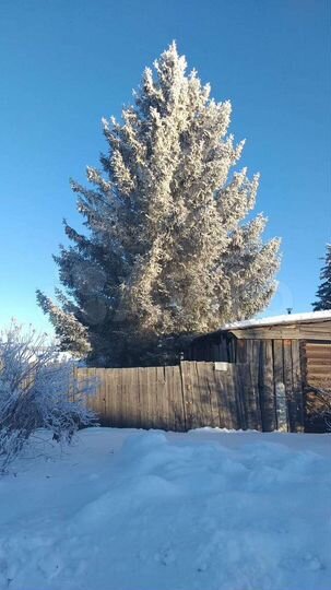 Участок 35 сот. (СНТ, ДНП)