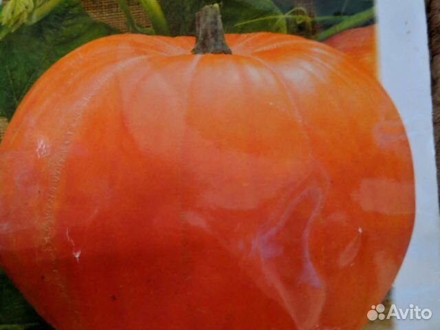 Семена бобы черные и белые, фасоль, тыквы кабачков