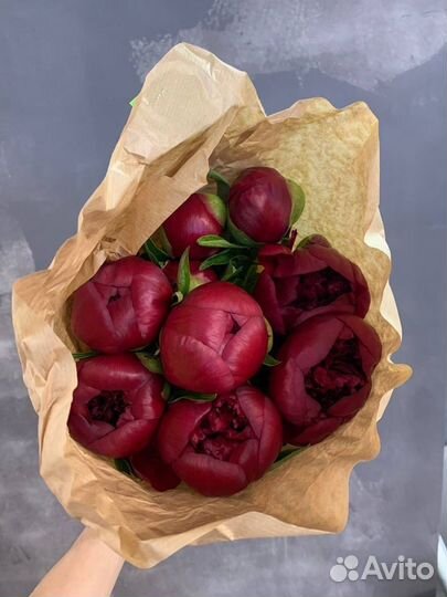 Пионы букет из пион / букет цветов