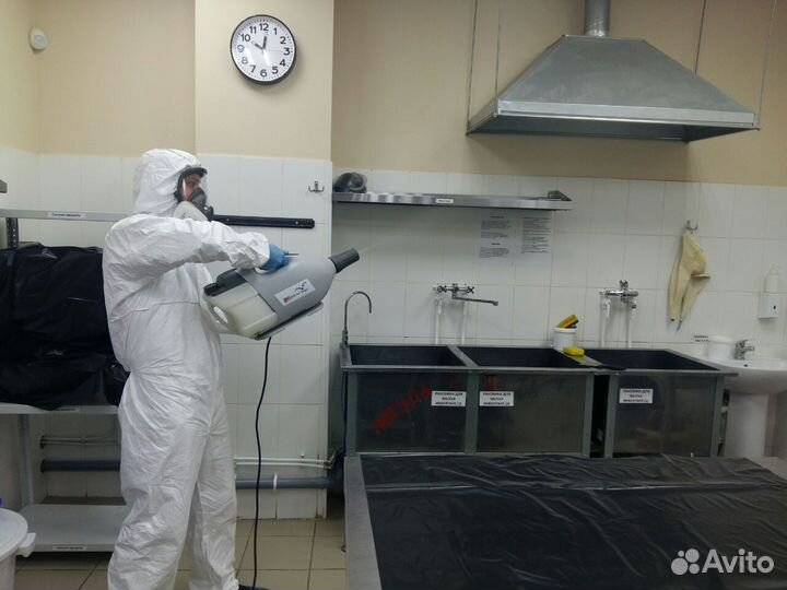 Уничтожение борщевика тараканов клещей Дезинфекция