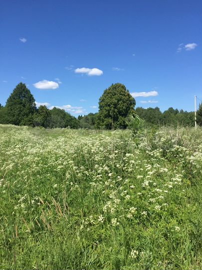 Участок 20 сот. (ИЖС)