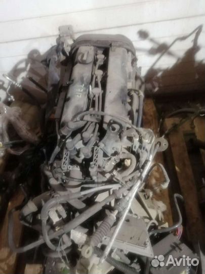 Двигатель Ford Focus 1.6 shda