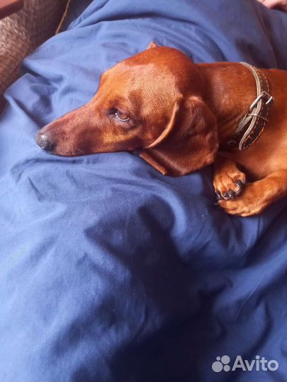 Вязка кабеля