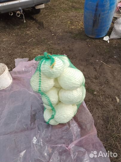 Продажа овощей