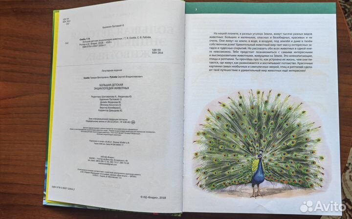 Большая детская энциклопедия