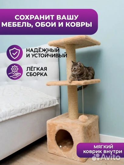 Когтеточка новая