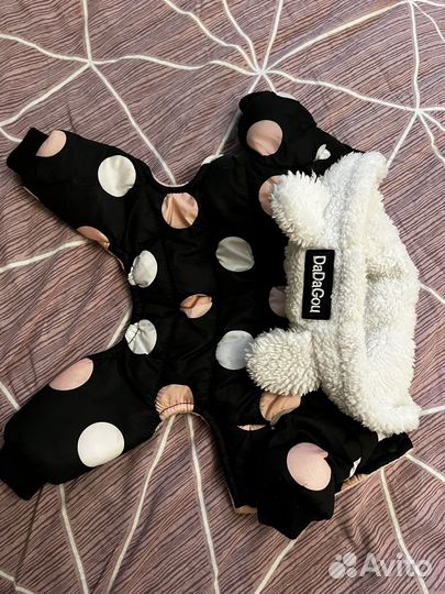 Одежда для собак