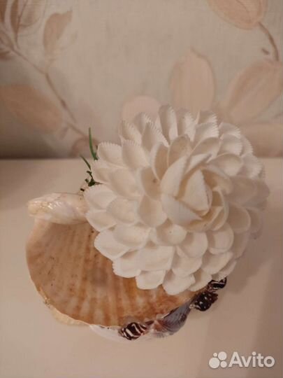 Новый сувенир из ракушек Анапа