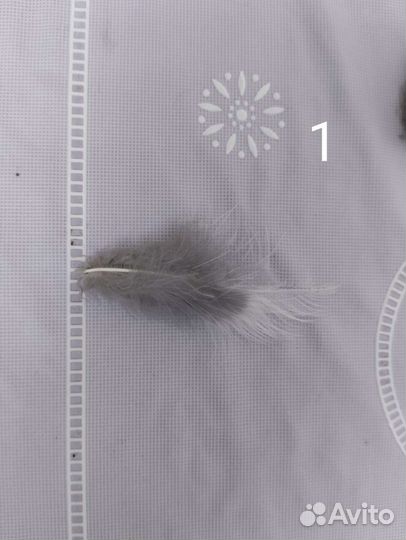 Перья для вязания мух