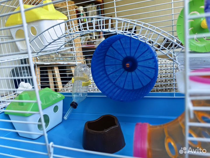 Клетка для хомяка большая