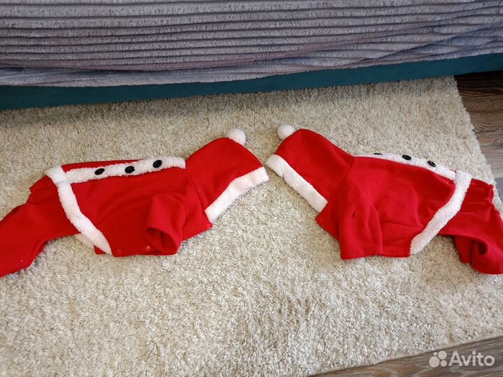 Одежда для собак