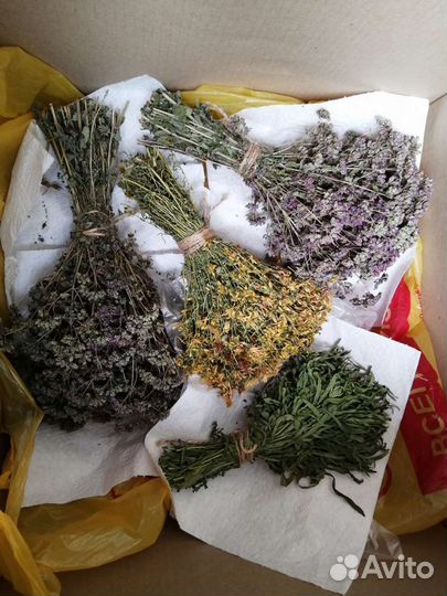 Набор букетов лечебных трав сушь