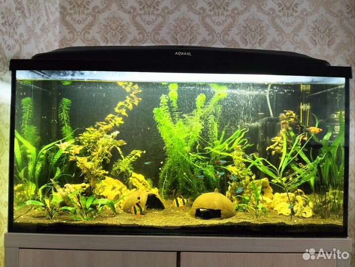 Аквариум