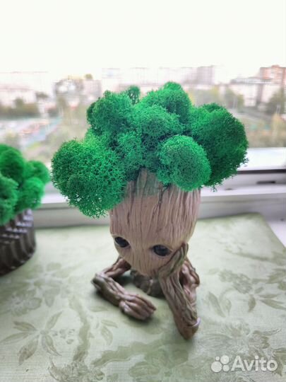 Грунт, кашпо, декор для интерьера, в подарок