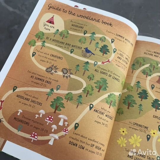 Usborne Woodland Book